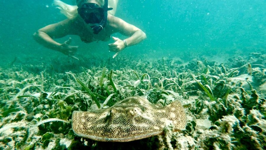 West Palm Beach: Beginner Scuba Diving Adventure with Videos - Is the $99 price good value?