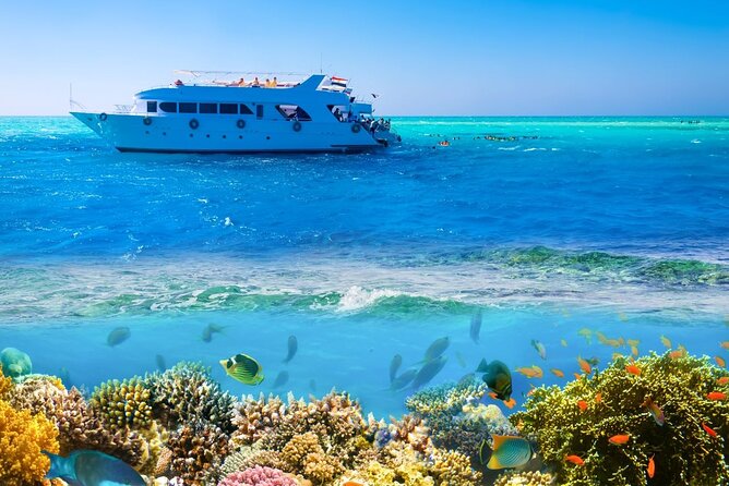 White Island & Ras Mohamed Boat Trip & Diving , lunch from Sharm - Lunch on board and time between swims