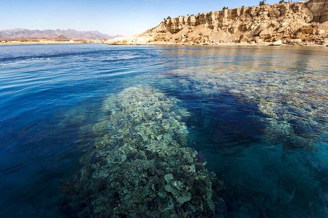 White Island & Ras Mohamed Boat Trip & Diving , lunch from Sharm - Is $17.42 a good value?