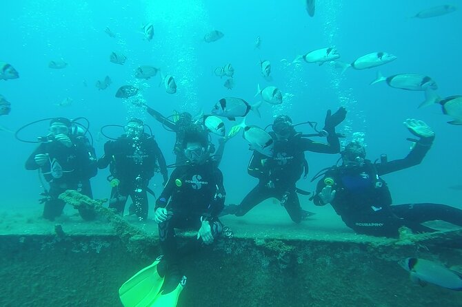 World-Class Zenobia Wreck Dive in Cyprus x 2 dives - The 90-minute break between routes