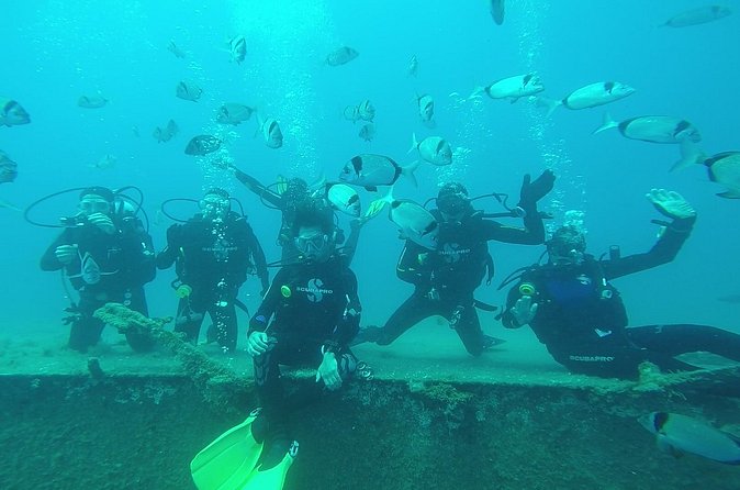 World-Class Zenobia Wreck Dive in Cyprus x 2 dives - What the $241.86 price represents