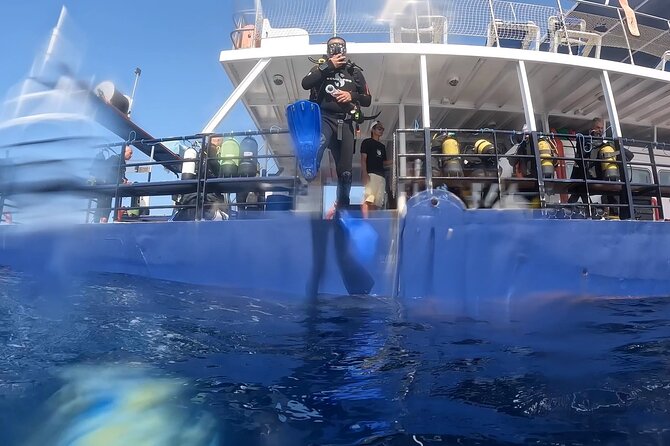 World-Class Zenobia Wreck Dive in Cyprus x 2 dives - The early journey from Pissouri to Larnaca