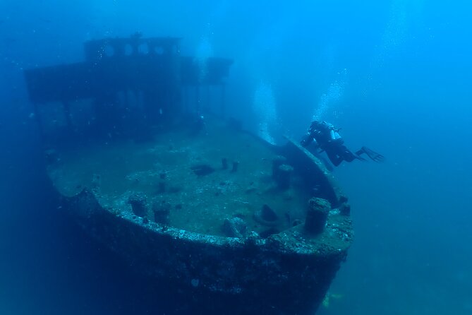 Wreck and Bridge Span Dive for Certified Divers - Two underwater structures off Panama City Beach