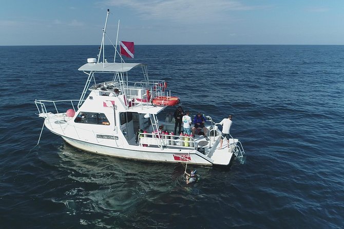 Wreck and Bridge Span Dive for Certified Divers - Meeting at Panama City Diving on Navy Boulevard
