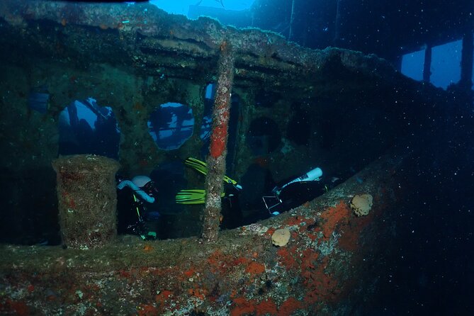 Wreck and Bridge Span Dive for Certified Divers - The bridge span adds a second kind of reef