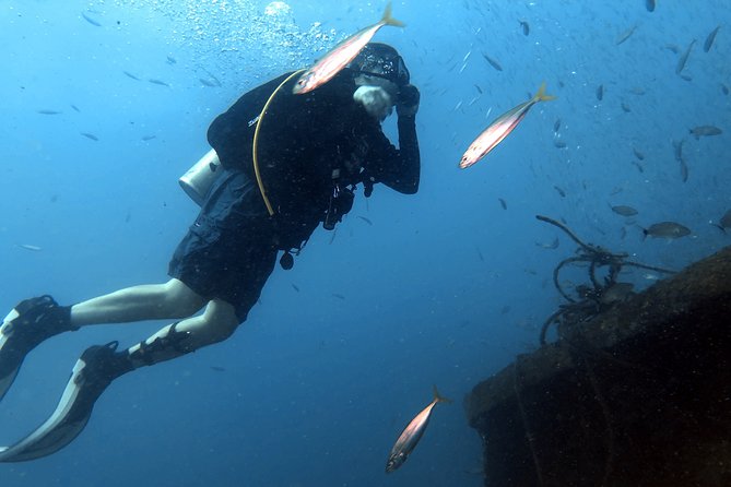 Wreck and Bridge Span Dive for Certified Divers - What is included for $115.36