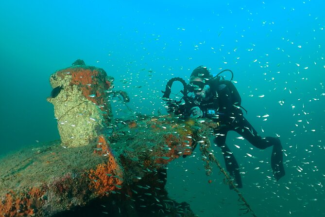 Wreck and Bridge Span Dive for Certified Divers - A four-hour plan with room for two sites