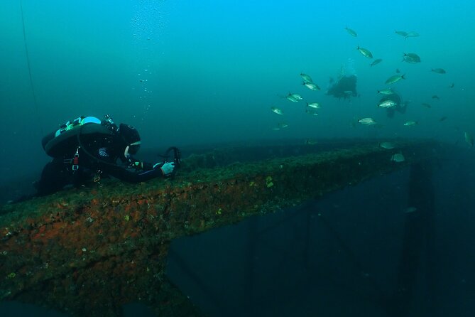 Wreck and Bridge Span Dive for Certified Divers - Who will get the most from this charter