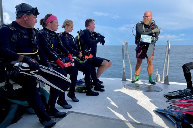 Wreck and Bridge Span Dive for Certified Divers - The shipwreck gives the outing its strongest focus