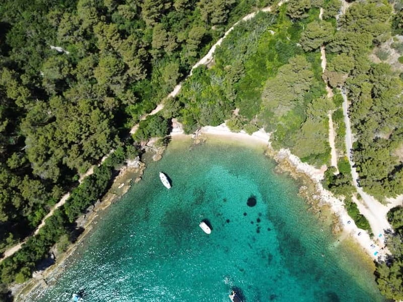Zadar: 3 Islands Speedboat Tour with Drinks and Diving - Ošljak, an hour for quiet island time