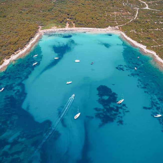Zadar: Sakarun Beach & Dugi Island Speedboat Tour w/Diving - Who will enjoy this trip most