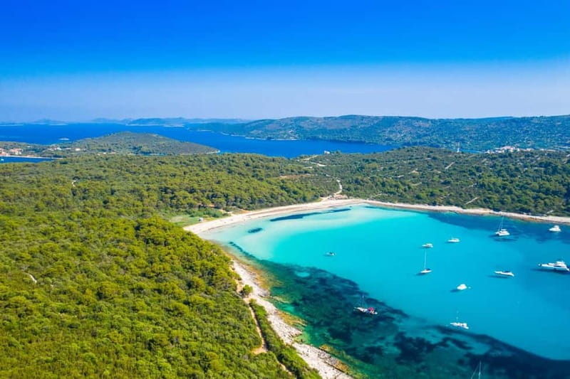 Zadar: Sakarun Beach & Dugi Island Speedboat Tour w/Diving - What the guides do well