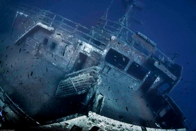 Zenobia Shipwreck Scuba Diving Trip 2x Dives - What the Small Group Changes