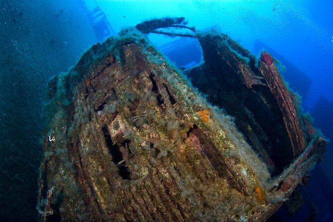 Zenobia Shipwreck Scuba Diving Trip 2x Dives - Weather, Cancellation, and Planning
